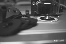 ELP_9385.jpg