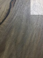 5007 copy.JPG