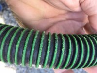 210326 Midi Hose 4.jpg