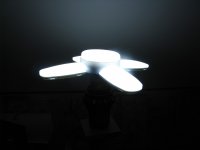IMG_9670 (Large).JPG