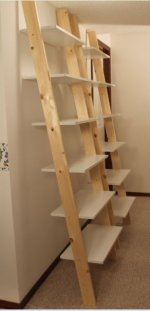 ladder units.JPG