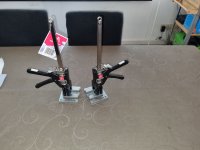 Viking_arm_resized.jpg