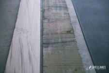 Hard maple 1.jpg