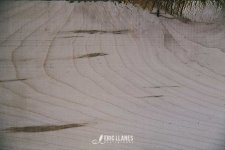 IMG_0667.jpg