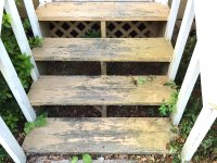 Stairs1.JPG