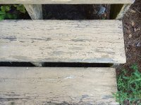 Stairs2.JPG