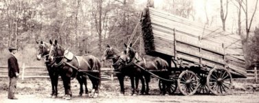 4x8 Haulage.jpg