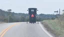 Keimbuggy.jpg