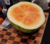 20230811_213531.jpg