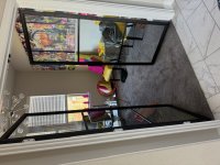 IMG_6339.jpeg