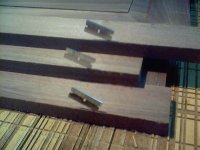 DSC00020.jpg