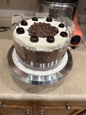 IMG_1536.jpeg