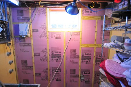 301_3598 Insulation.JPG