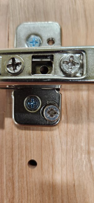 Installed hinge with deformation of screw.jpg