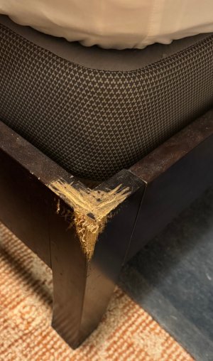 Bed frame.jpg