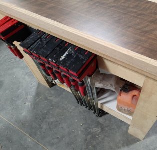 Dublin SS bookcase shelf edge.jpg