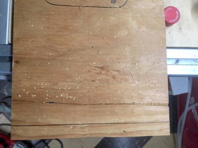 3 Carvex open 2.JPG