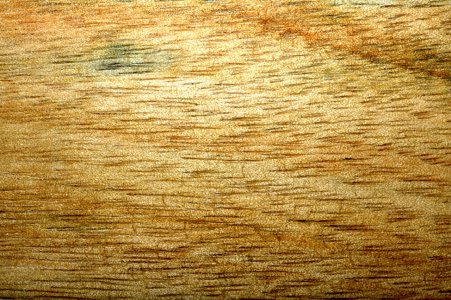 _DSC1163.jpeg