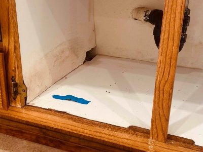 Cabinet w water damage.jpg