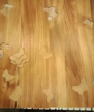 Butterfly Inlays 03.jpg