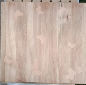 Butterfly Inlays 04.jpg