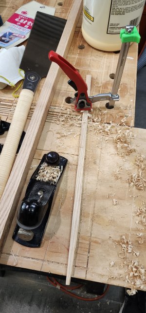 1000026147.jpg 1000026147.jpg