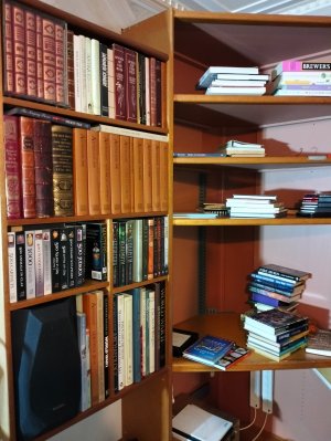 Bookcase.04.jpg