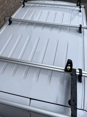 IMG_5390.JPG IMG_5390.JPG