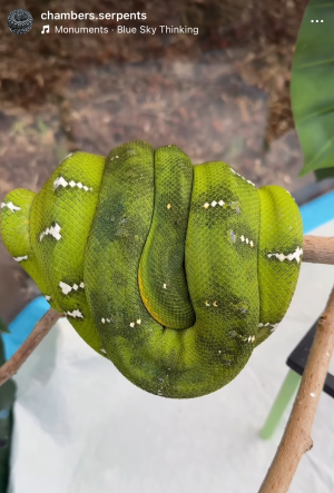 2025-12-10 01.48.02.png