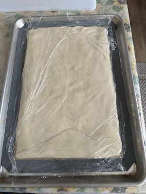 IMG_2485.jpeg IMG_2485.jpeg