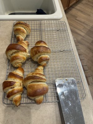 IMG_2487.jpeg IMG_2487.jpeg