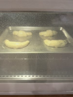 IMG_2488.jpeg IMG_2488.jpeg