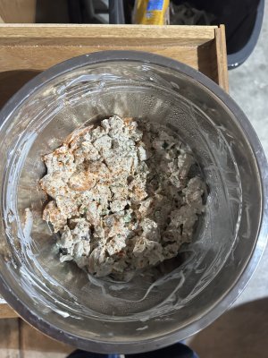 IMG_2489.jpeg IMG_2489.jpeg