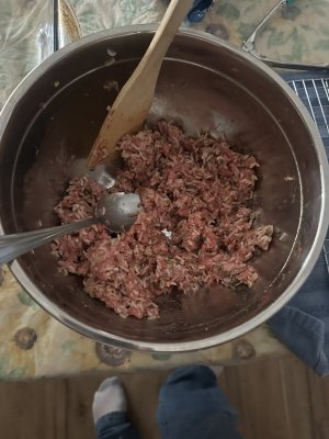 IMG_2514.jpeg IMG_2514.jpeg