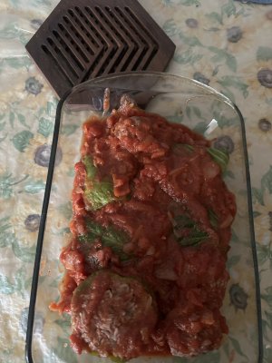 IMG_2515.jpeg IMG_2515.jpeg