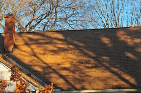 301_3051 west side.JPG