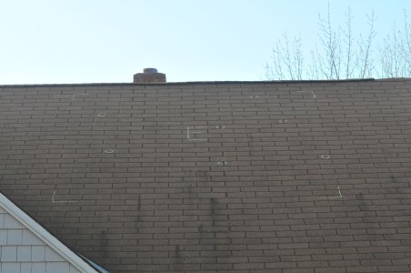 301_3052 east side.JPG